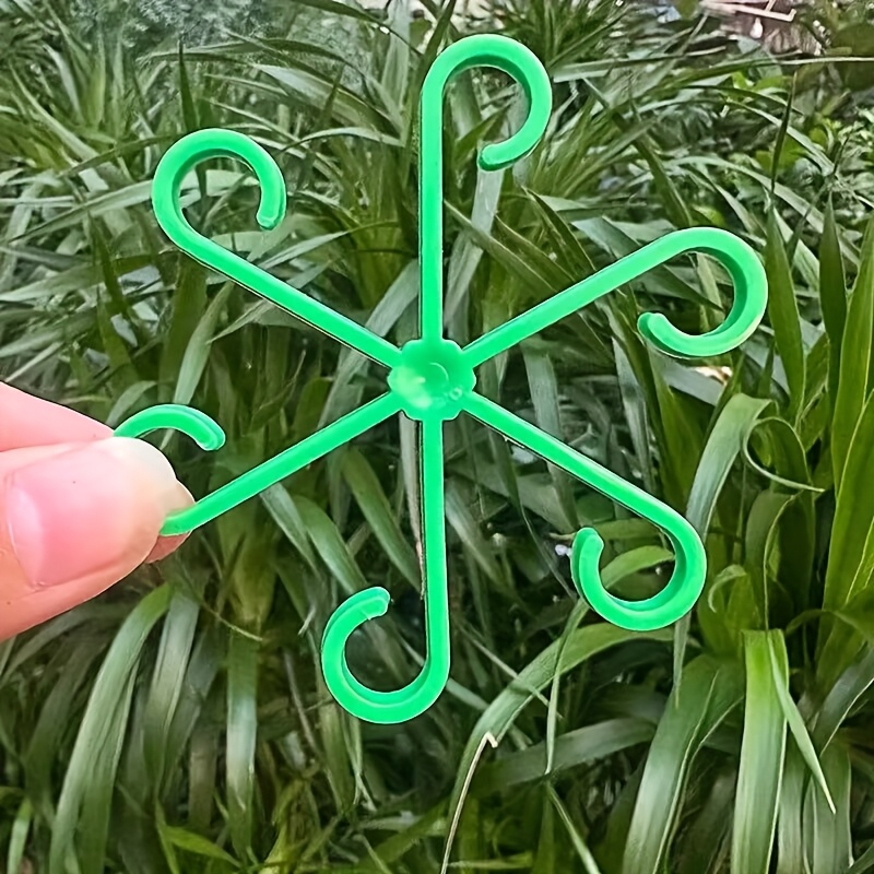 Variegated Monstera Node - 4pcs Climbing Plants Support Clips Flower