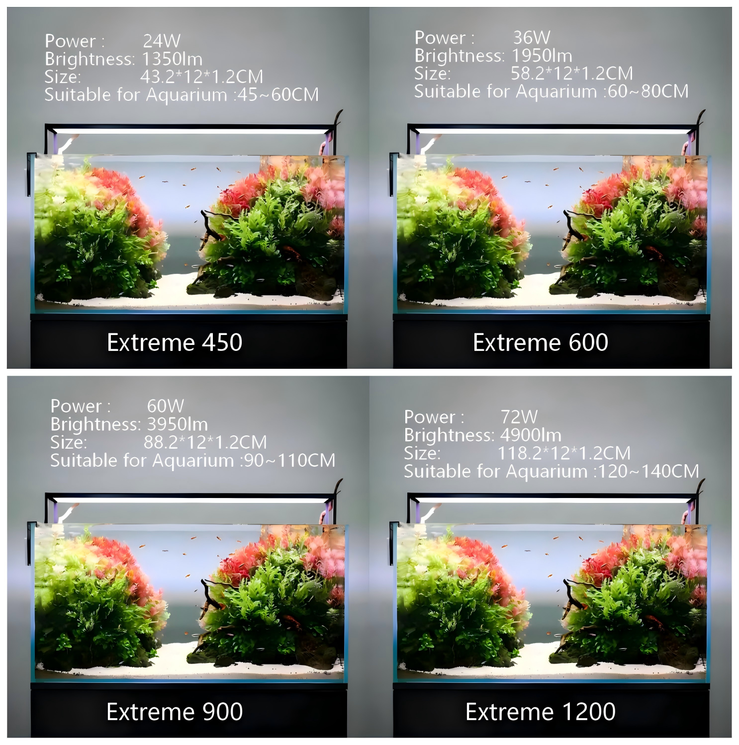 MICMOL Extreme 450 600 900 120 - Plant Parent App incelemesi ve fiyatı