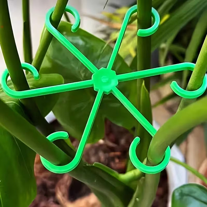 8-Piece Plant Stem Support Set - Variegated Monstera Node incelemesi ve fiyatı