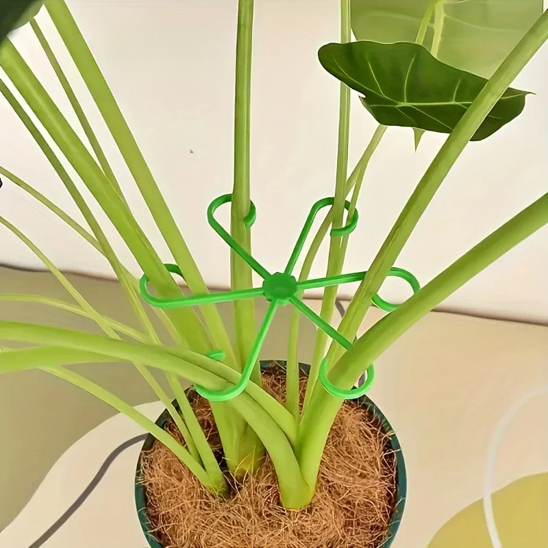 8-Piece Plant Stem Support Set - Variegated Monstera Node incelemesi ve fiyatı
