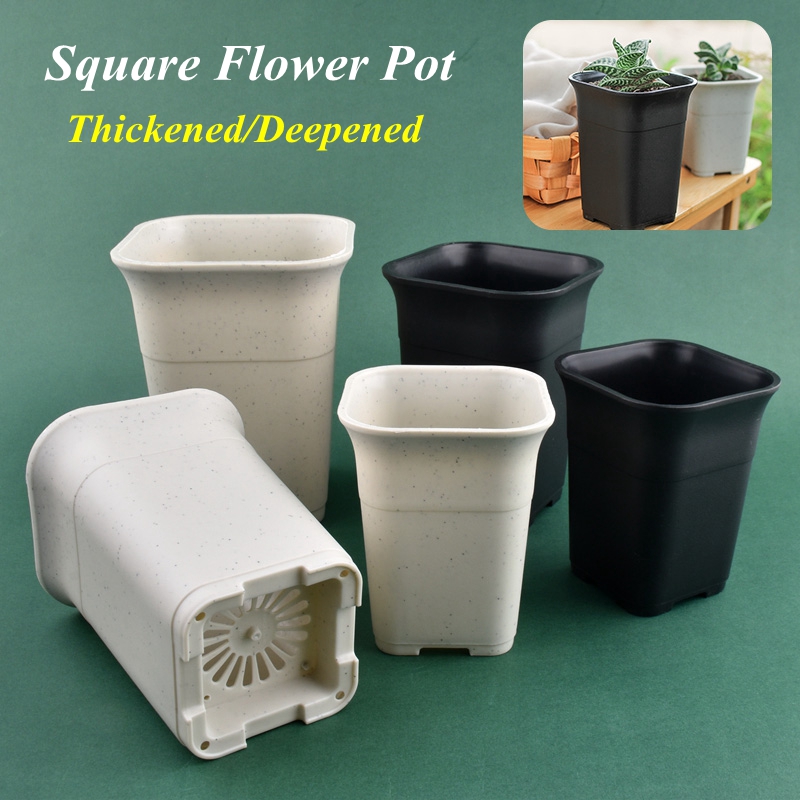 5/10Pcs Deepened Square Plants - Cactus Mix Pot incelemesi ve fiyatı