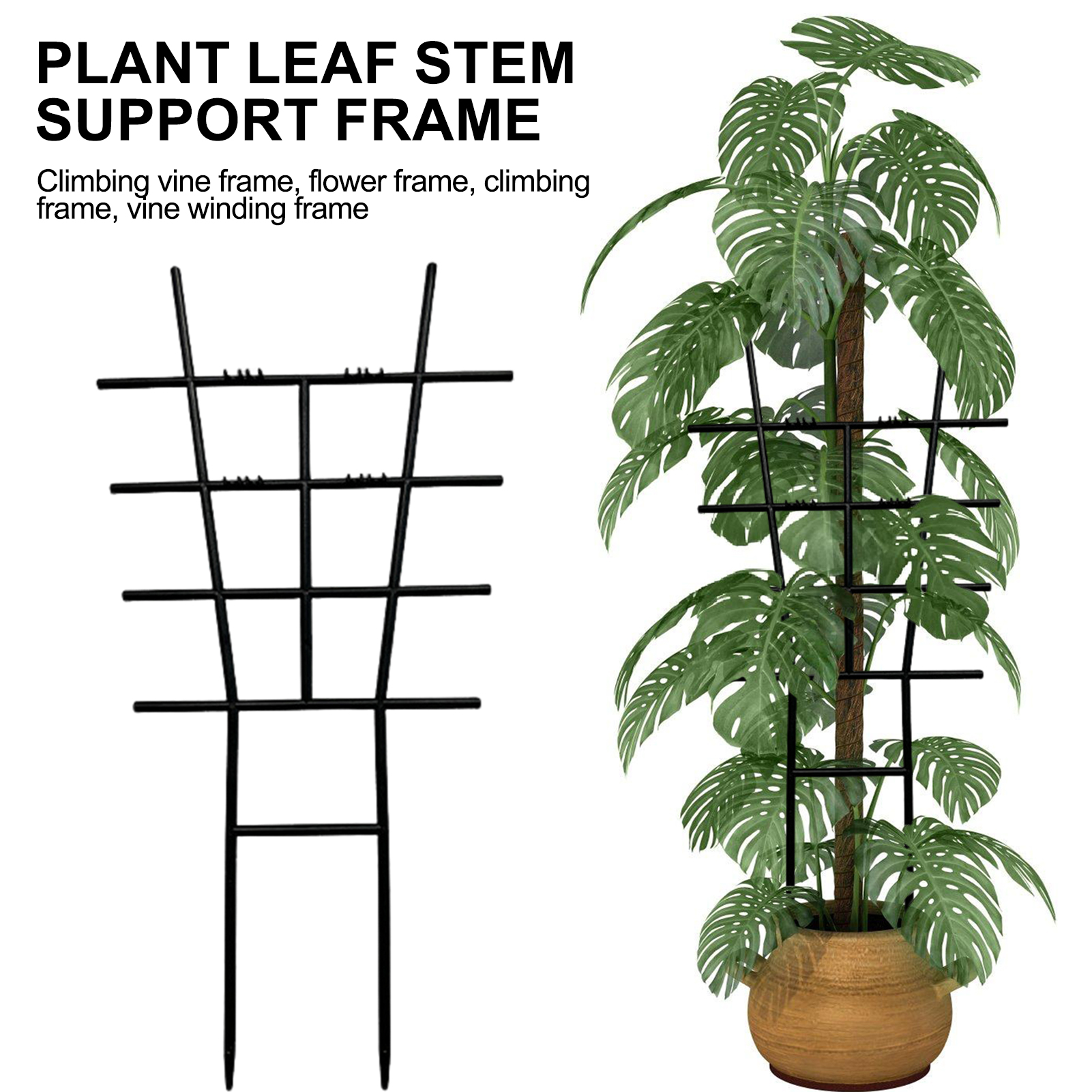 Plastic Climbing Plant Trellis - Variegated Monstera Node incelemesi ve fiyatı