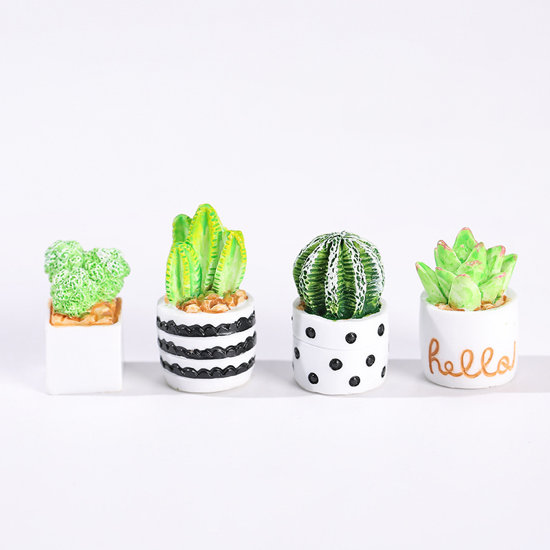 4pcs/Set Of Mini Succulent Pot - Cactus Mix Pot incelemesi ve fiyatı