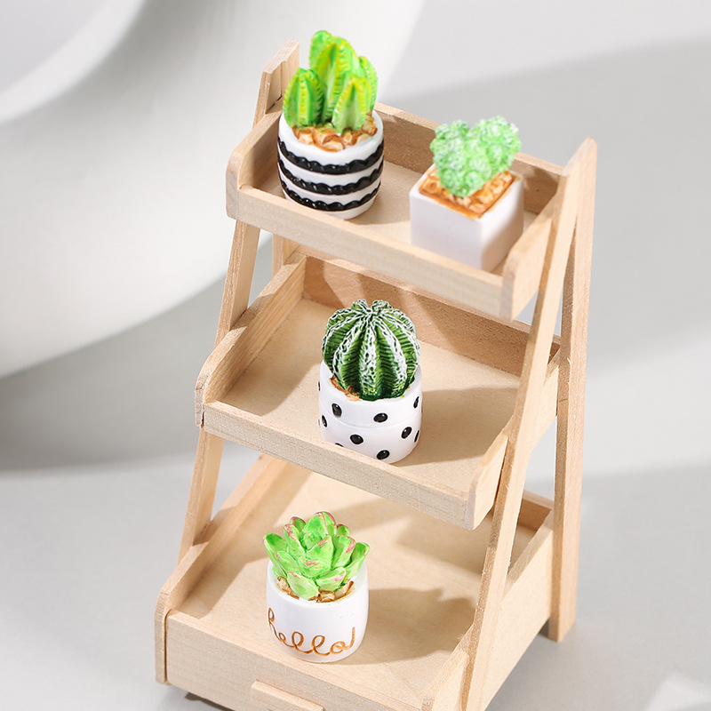 4pcs/Set Of Mini Succulent Pot - Cactus Mix Pot incelemesi ve fiyatı