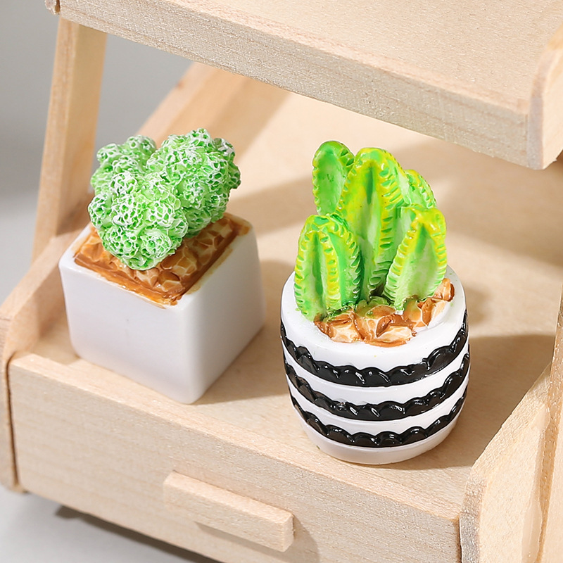 4pcs/Set Of Mini Succulent Pot - Cactus Mix Pot incelemesi ve fiyatı