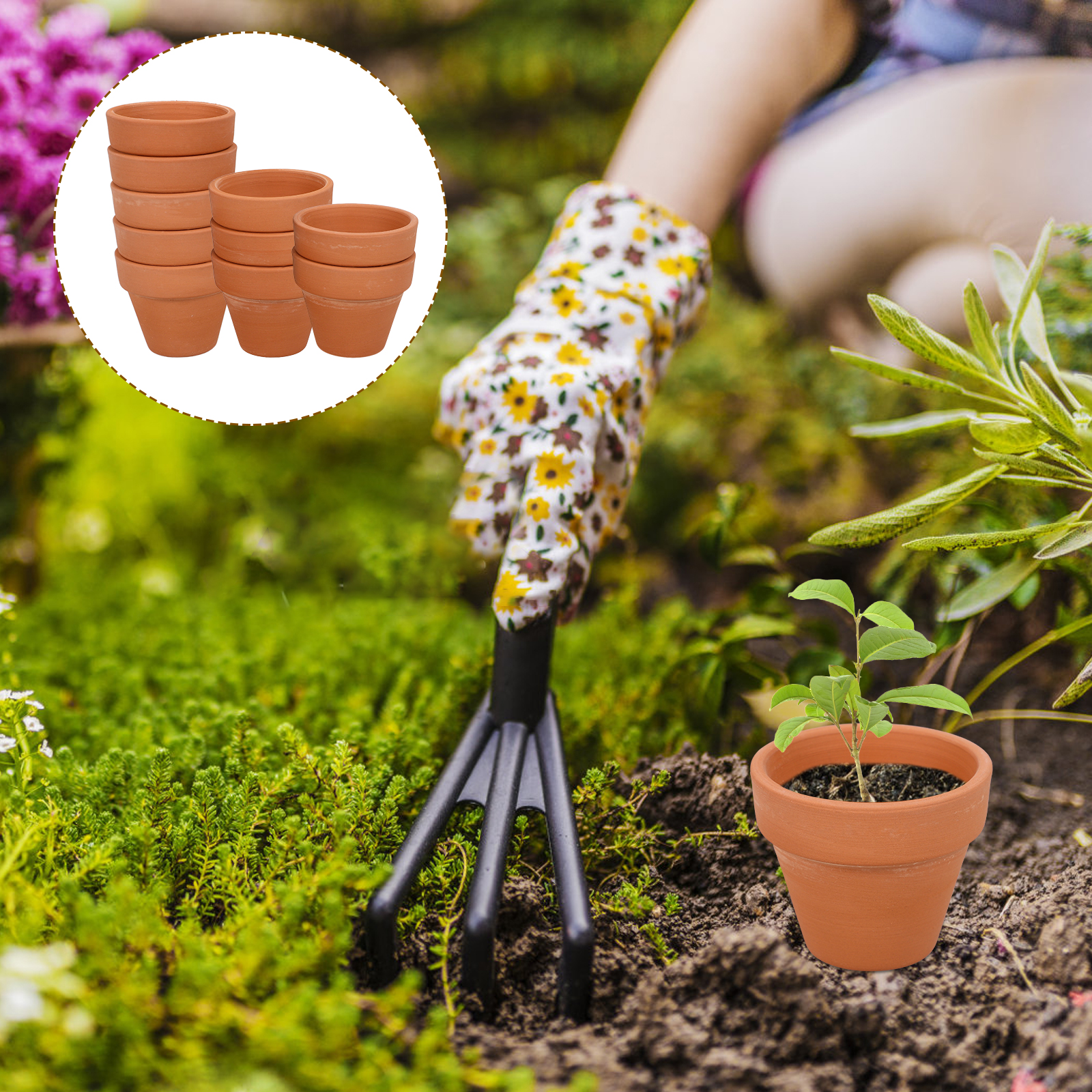 10pcs Mini Terracotta Pot Plan - Cactus Mix Pot incelemesi ve fiyatı