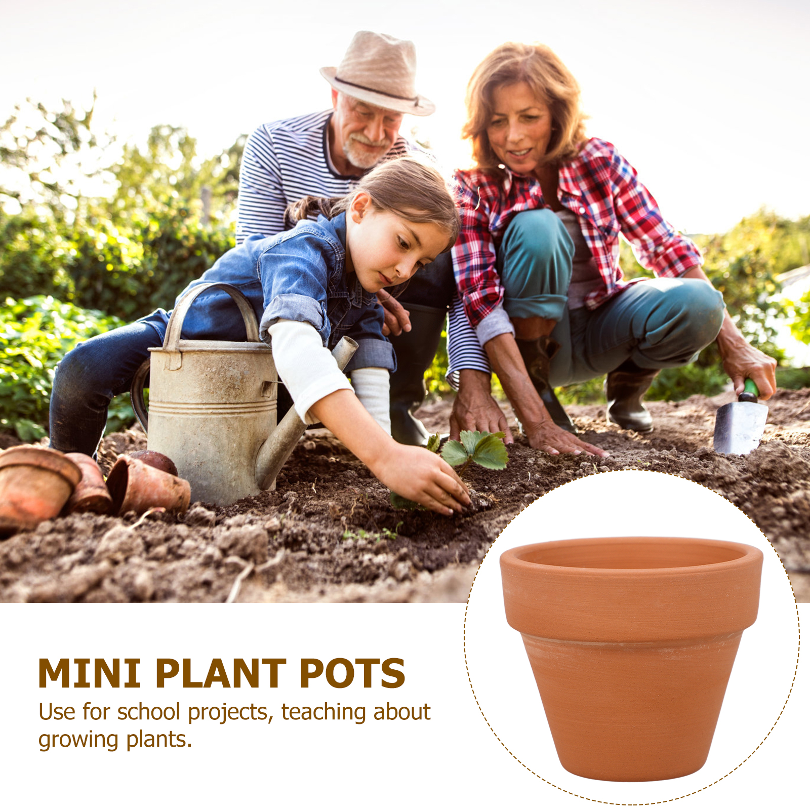 10pcs Mini Terracotta Pot Plan - Cactus Mix Pot incelemesi ve fiyatı