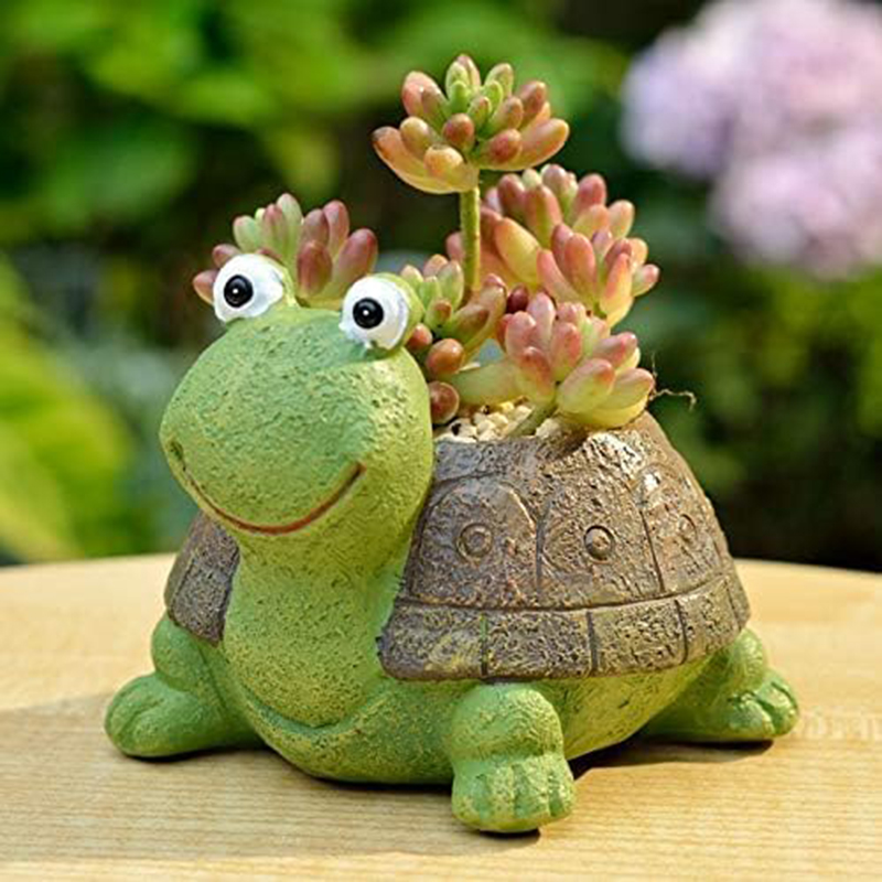 Cute Turtle Planter Succulent  - Cactus Mix Pot incelemesi ve fiyatı
