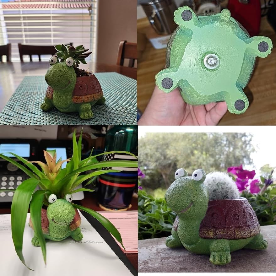 Cute Turtle Planter Succulent  - Cactus Mix Pot incelemesi ve fiyatı