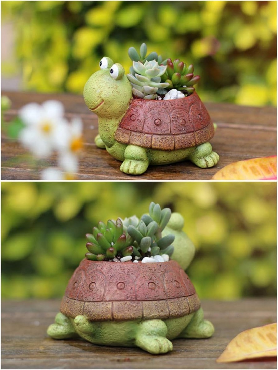 Cute Turtle Planter Succulent  - Cactus Mix Pot incelemesi ve fiyatı