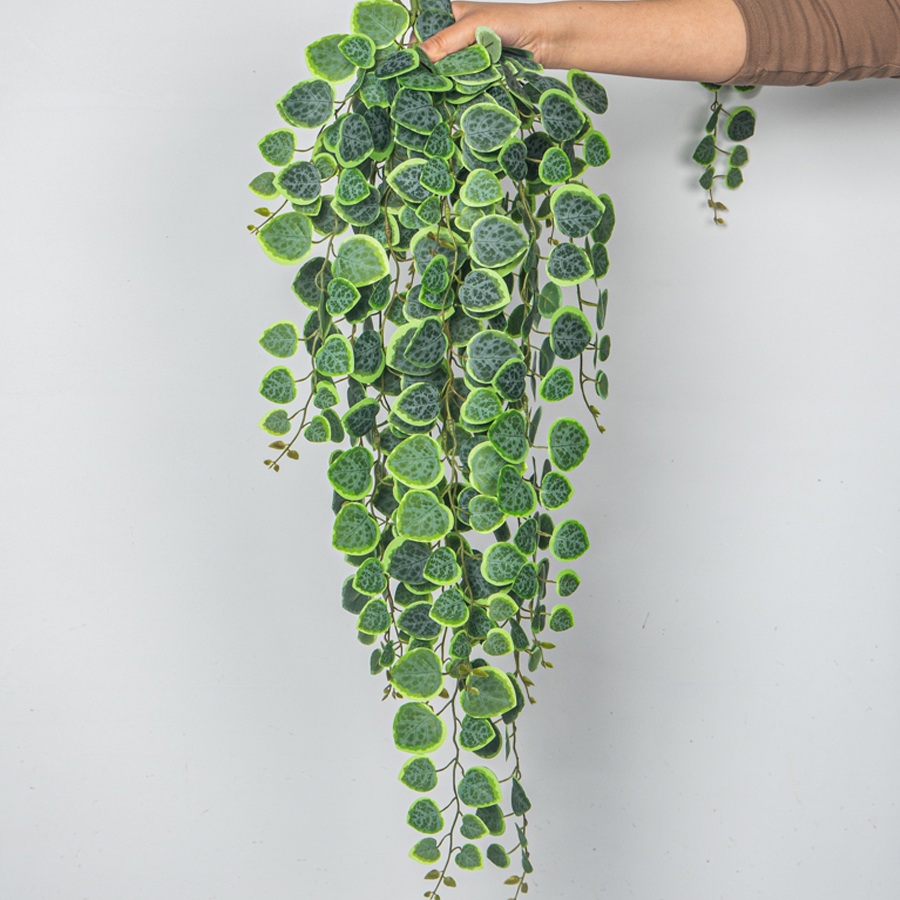 60-80cm Artificial Hanging Vin - String Of Pearls Plant incelemesi ve fiyatı