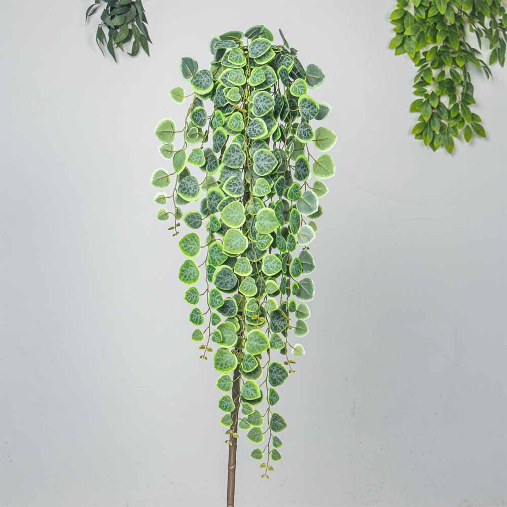 60-80cm Artificial Hanging Vin - String Of Pearls Plant incelemesi ve fiyatı