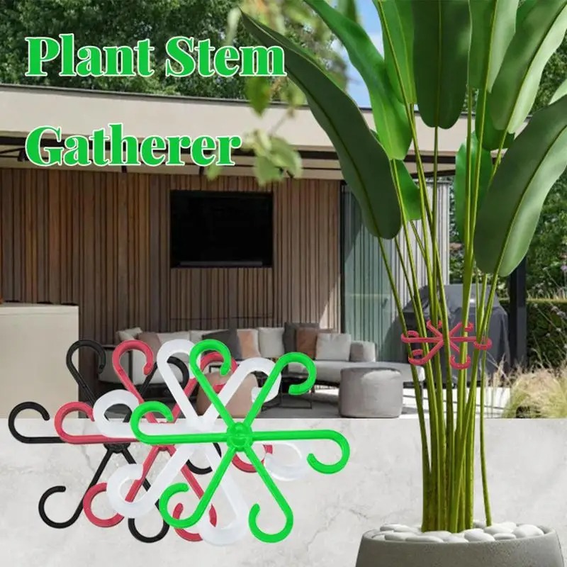 4pcs Climbing Plants Support C - Variegated Monstera Node incelemesi ve fiyatı