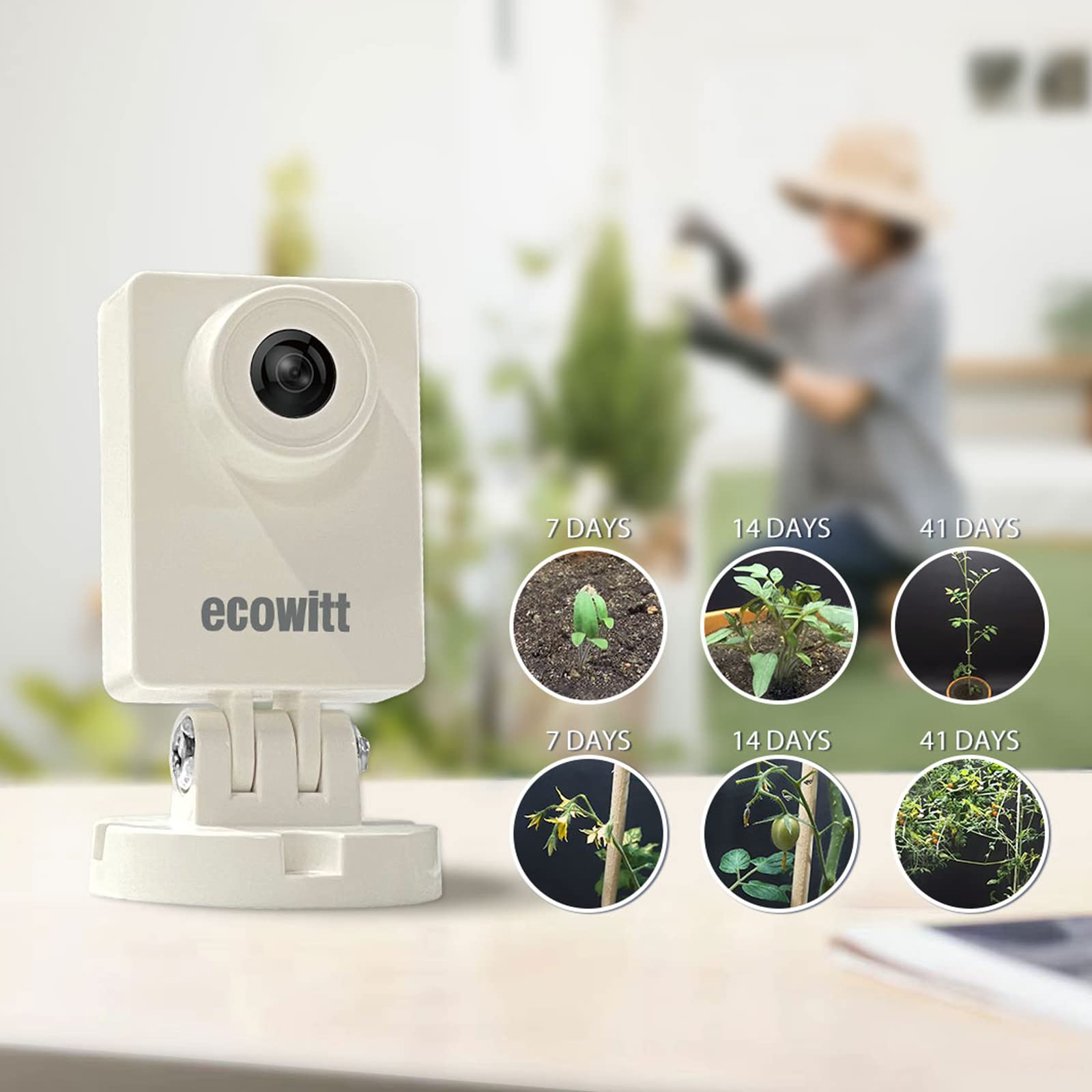 Ecowitt HP10 WittCam Outdoor W - Plant Parent App incelemesi ve fiyatı