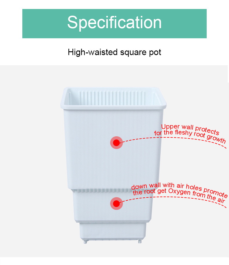 Meshpot High Waist Square Pot  - Cactus Mix Pot incelemesi ve fiyatı