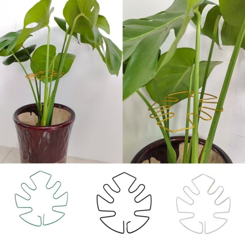 Monstera Leaf Shaped Metal Pla - Variegated Monstera Node incelemesi ve fiyatı
