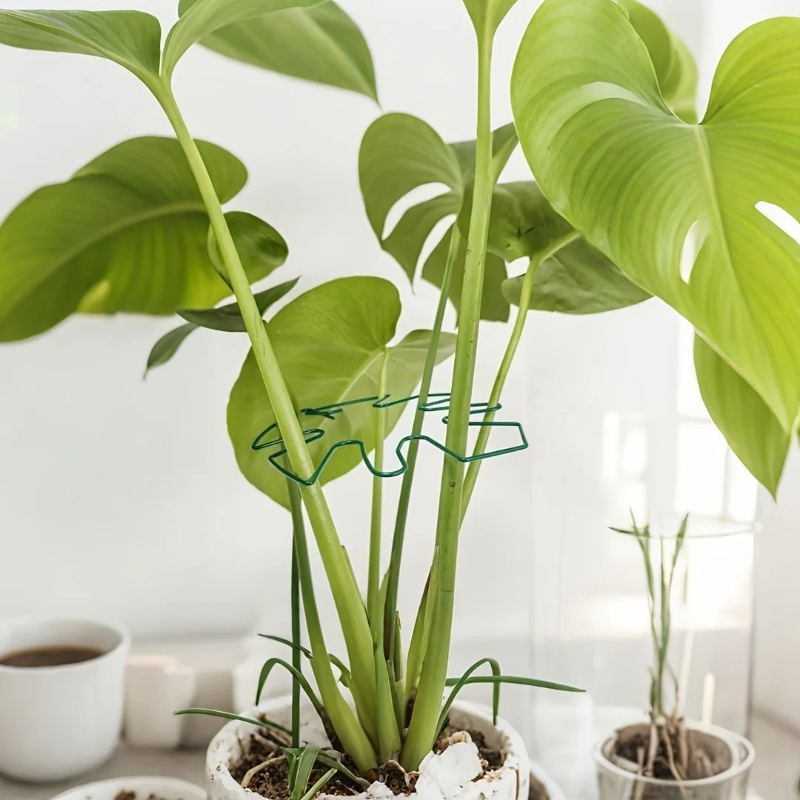 Monstera Leaf Shaped Metal Pla - Variegated Monstera Node incelemesi ve fiyatı