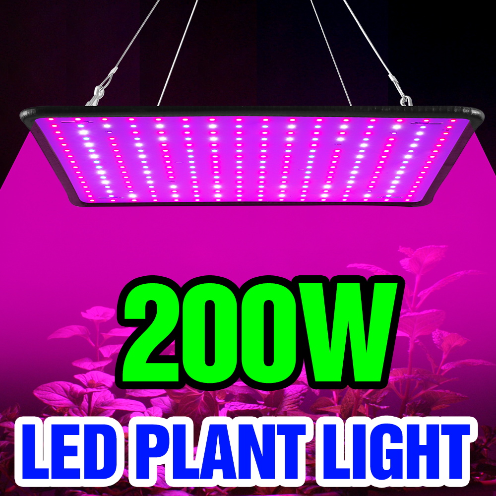 200W LED Quantum Board Grow Li - Cactus Mix Pot incelemesi ve fiyatı