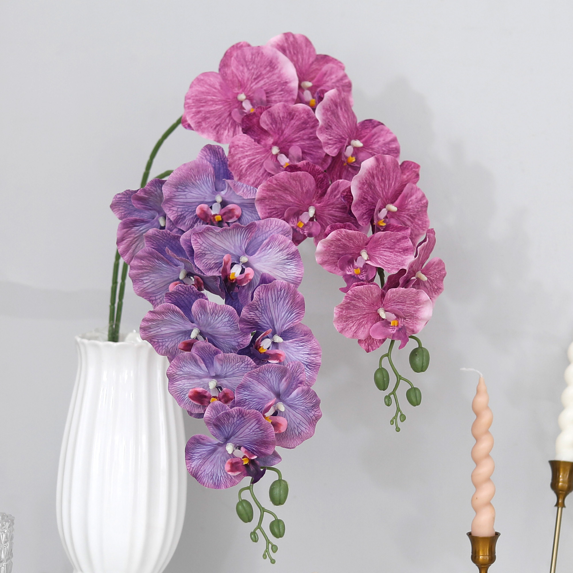 Long Branch Butterfly Orchids  - String Of Pearls Plant incelemesi ve fiyatı