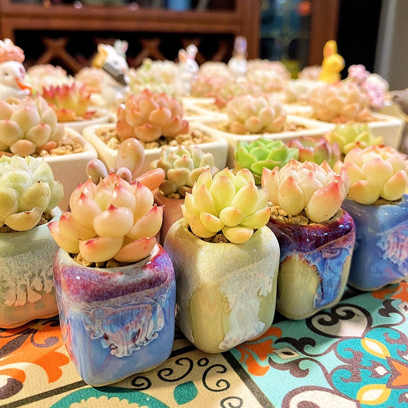 10Pcs Mini Ceramics Fowerpot M - Cactus Mix Pot incelemesi ve fiyatı