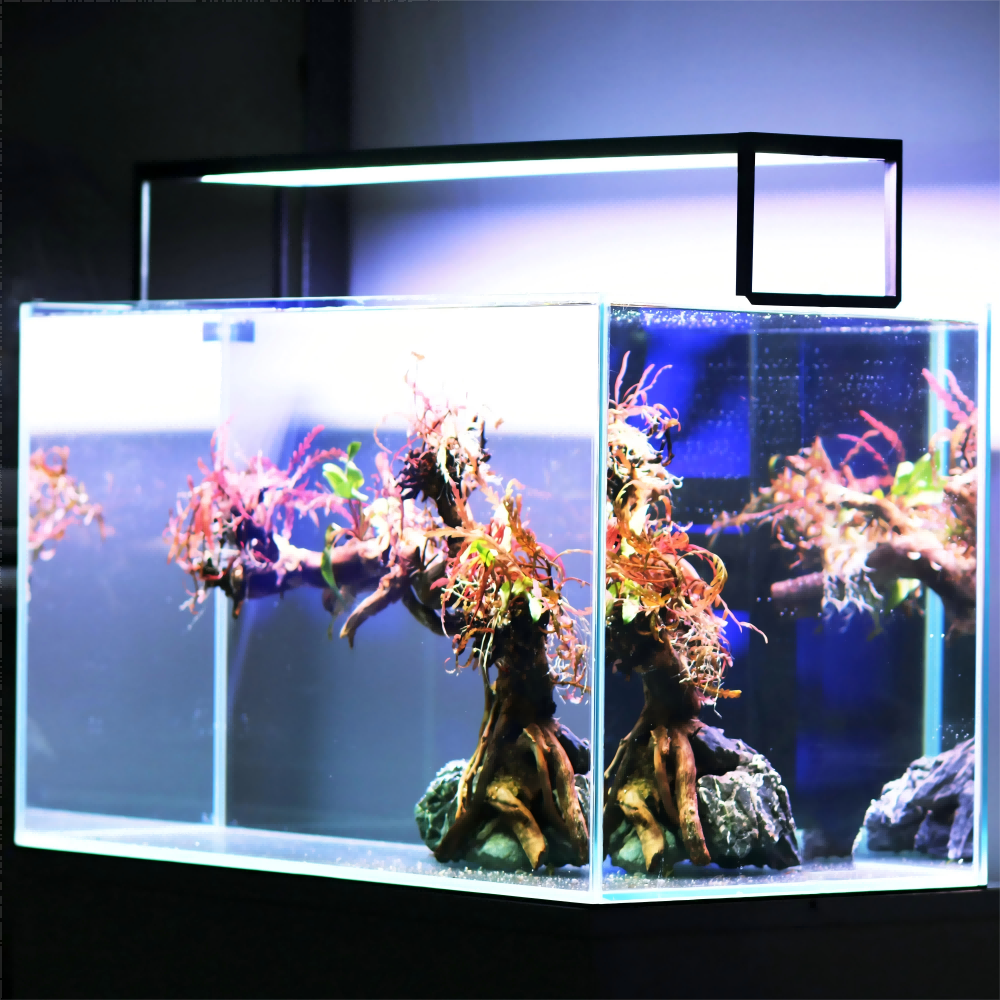 LED Aquarium light MICMOL Extr - Plant Parent App incelemesi ve fiyatı