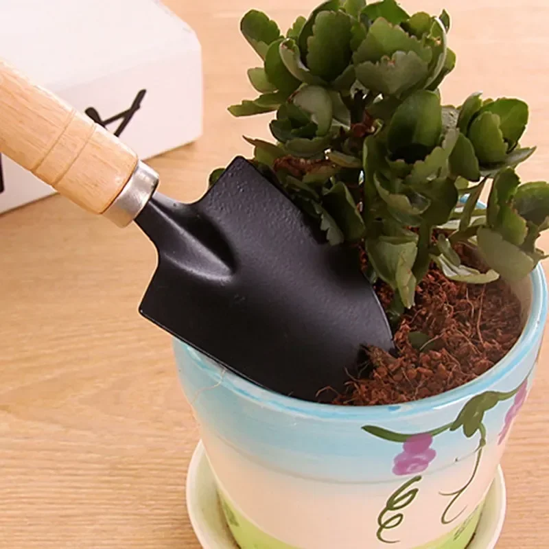 3Pcs/Set Mini Garden Tool Set  - Cactus Mix Pot incelemesi ve fiyatı
