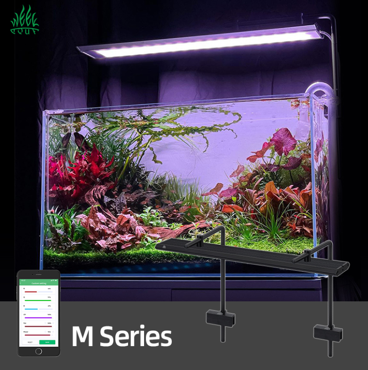 Week Aqua Aquarium Light M Ser - Plant Parent App incelemesi ve fiyatı