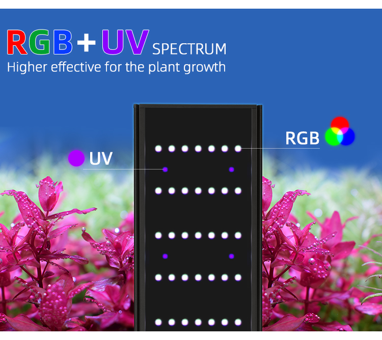 WEEK AQUA L Series APP Control - Plant Parent App incelemesi ve fiyatı