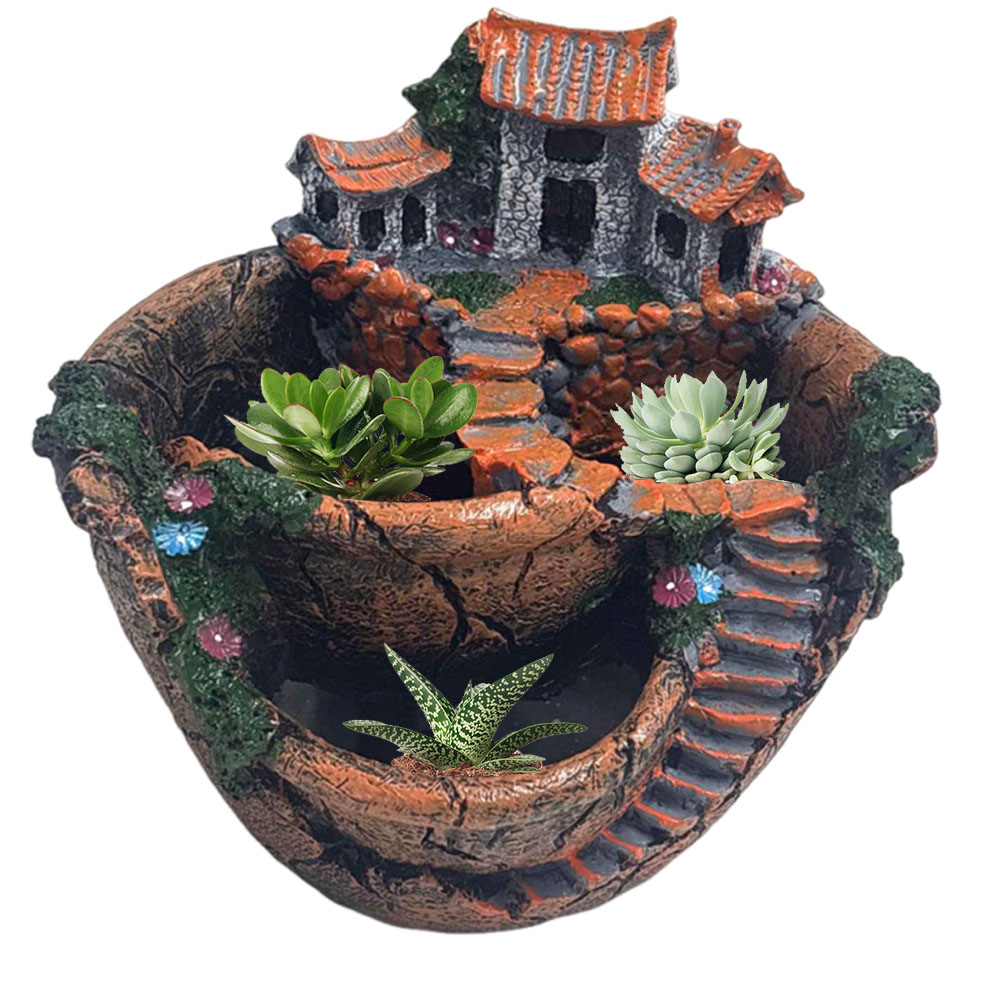 Succulent Pot Vintage Multi Po - Cactus Mix Pot incelemesi ve fiyatı
