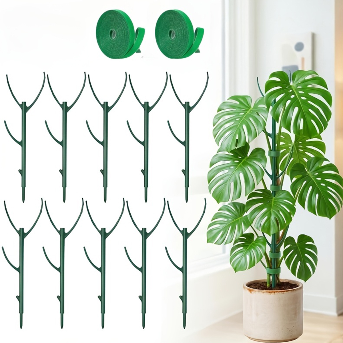 6 PCS Monstera Plant Support S - Variegated Monstera Node incelemesi ve fiyatı