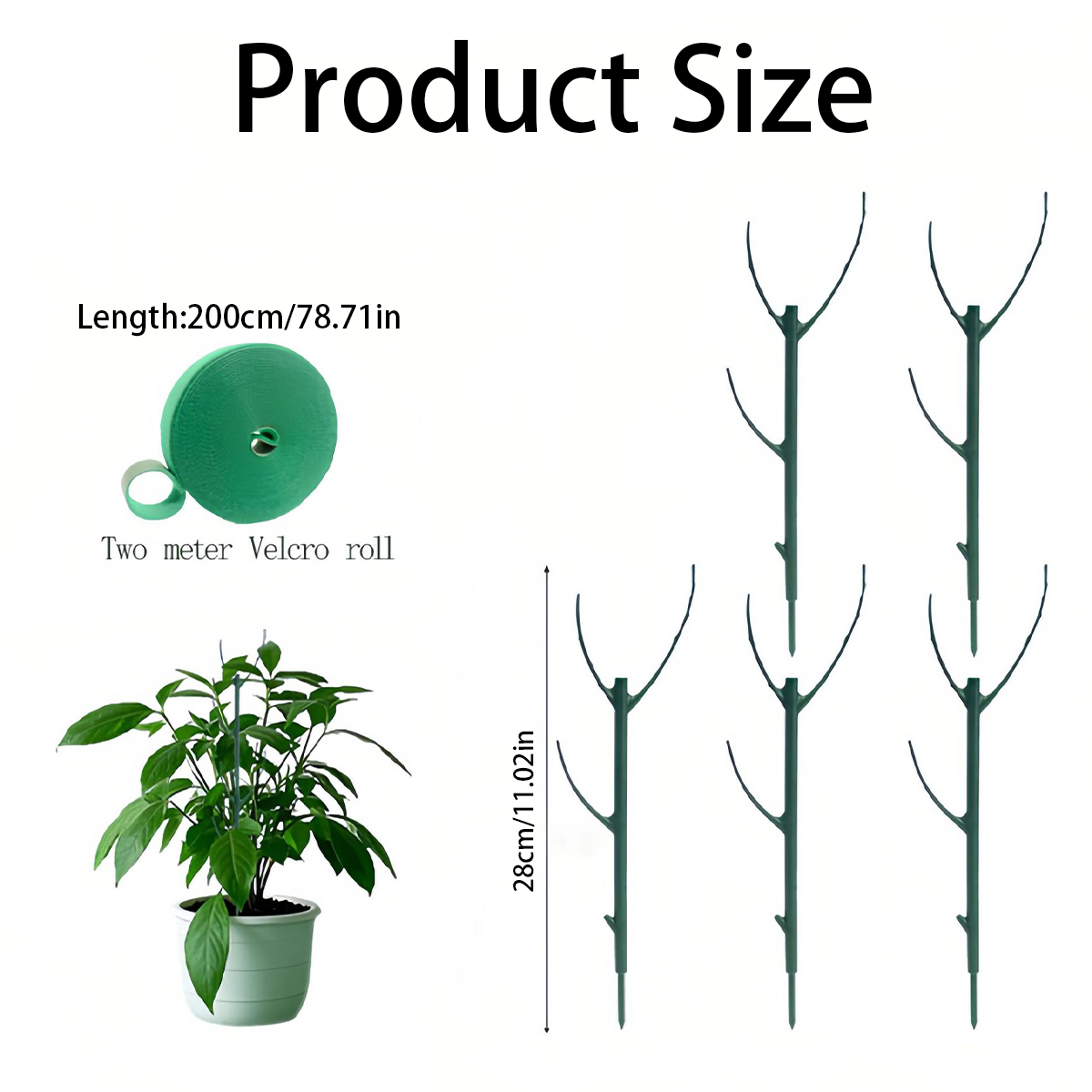 6 PCS Monstera Plant Support S - Variegated Monstera Node incelemesi ve fiyatı