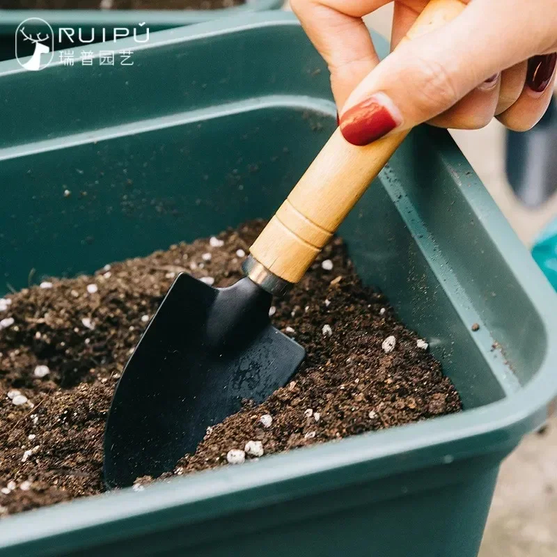 3Pcs/Set Mini Garden Tool Set  - Cactus Mix Pot incelemesi ve fiyatı